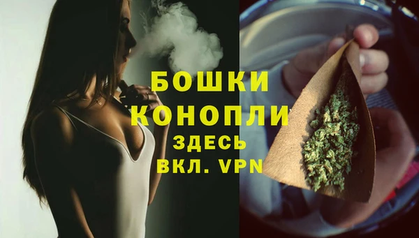 сатива Бронницы