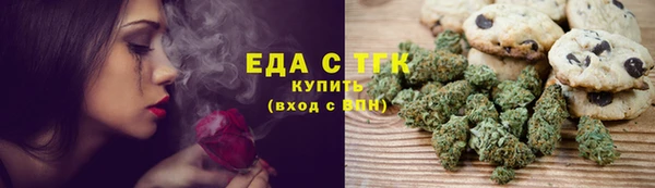 МДПВ Бородино