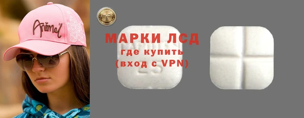 МДПВ Бородино