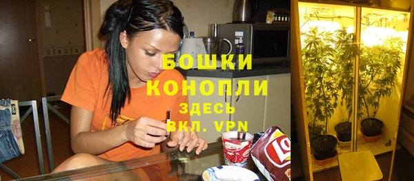 МДПВ Бородино