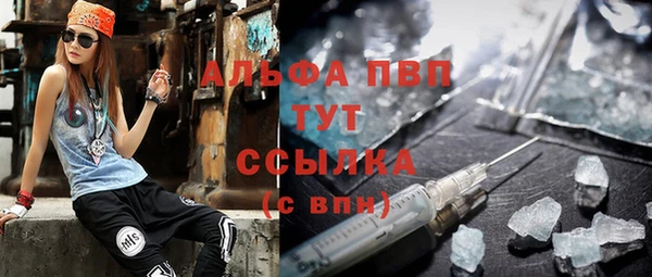сатива Бронницы