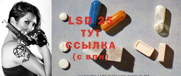 сатива Бронницы