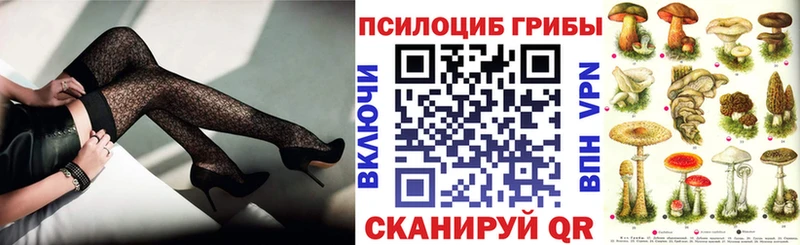 Псилоцибиновые грибы прущие грибы  ссылка на мегу зеркало  Новосокольники 